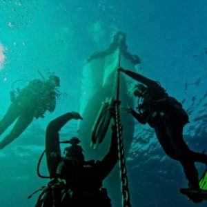 Curso Divemaster