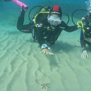 Curso Open Water Diver