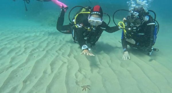 Curso Open Water Diver
