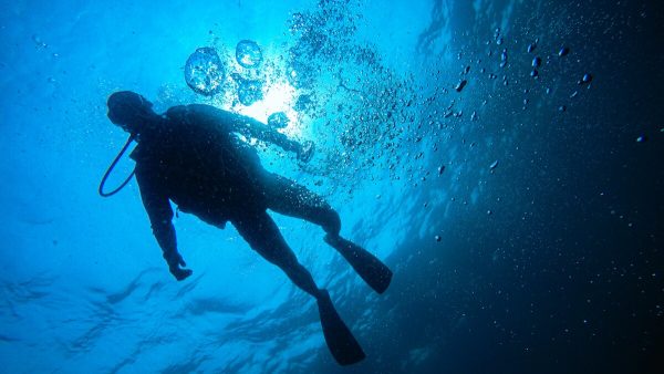 Bautizo de buceo