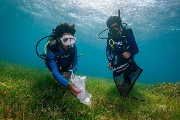 Especialidad Aware. Buceo en Tarragona