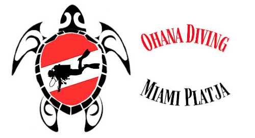 Ohana Diving