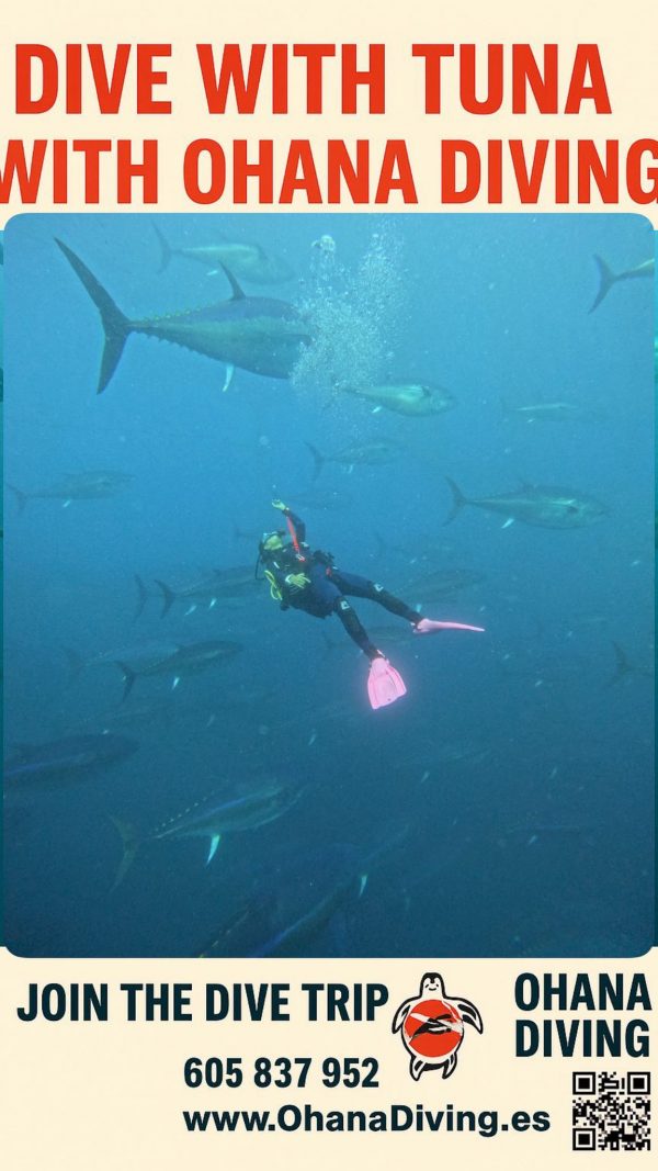 Buceo con atunes gigantes