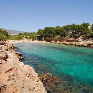 Buceo en Calafat. Buceo en Ametlla de Mar