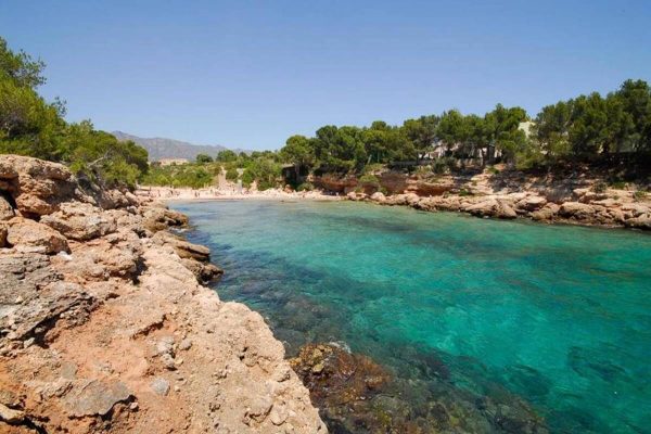 Buceo en Calafat. Buceo en Ametlla de Mar